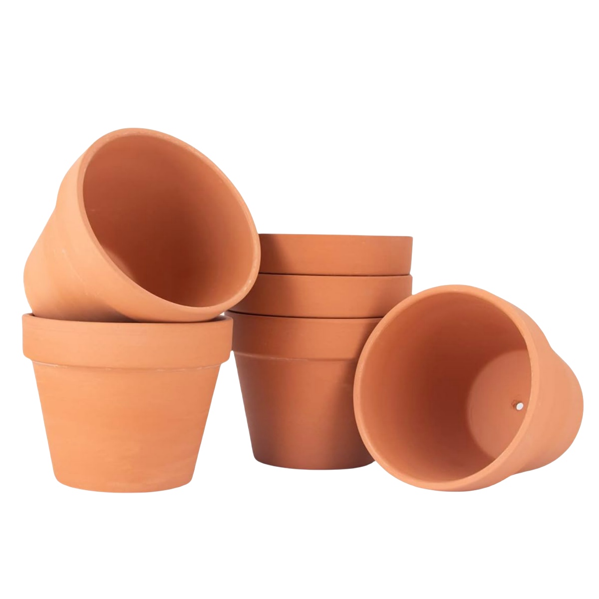 Echeveria Succulent - 6 ชิ้น 4 นิ้ว Terracotta Pots