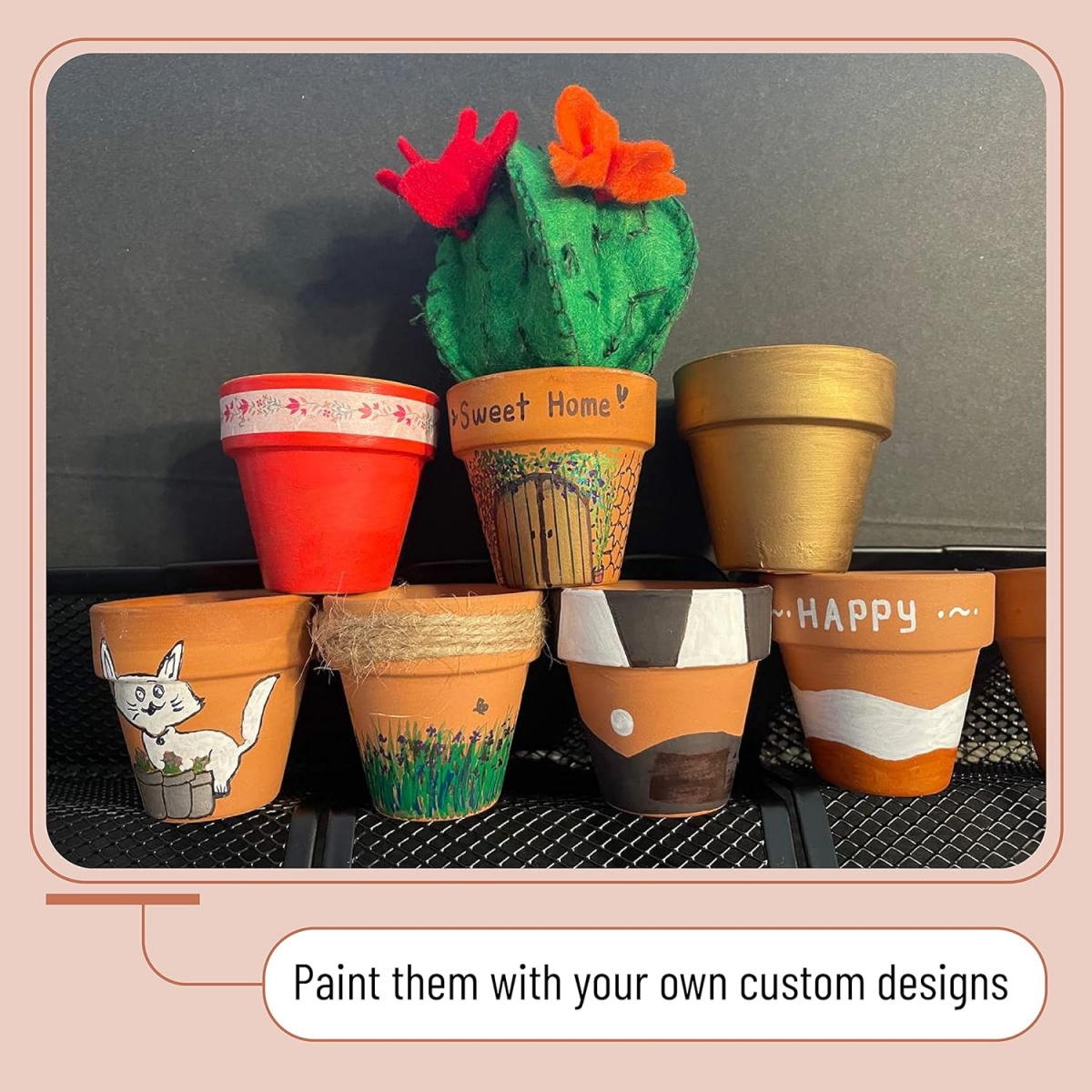 6 ชิ้น 4 นิ้ว Terracotta Pots  - Echeveria Succulent บทวิจารณ์และราคา