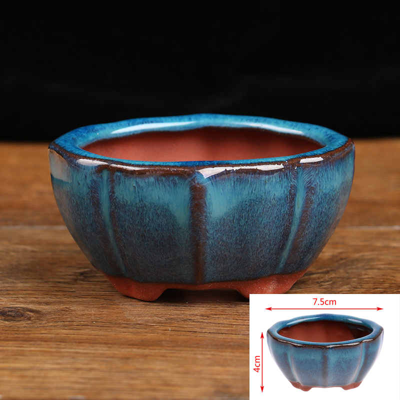 กระถางปลูกบอนไซเซรามิกขนาดเล็ก - Echeveria Succulent บทวิจารณ์และราคา
