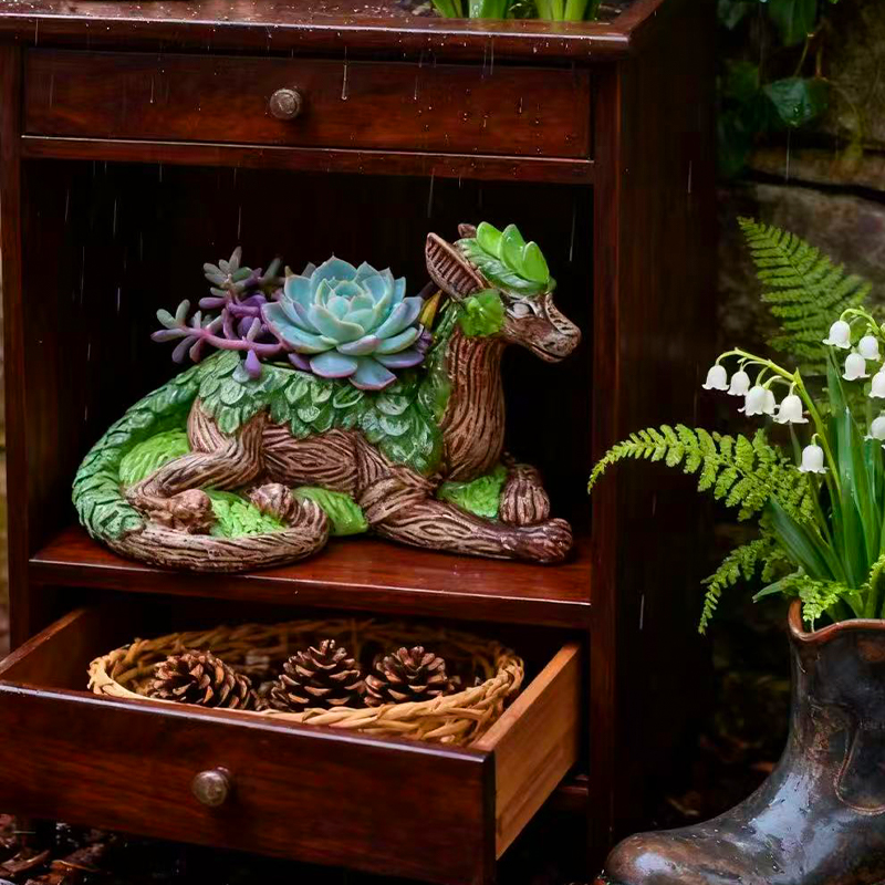 กระถางต้นไม้รูปมังกรสร้างสรรค์ - Echeveria Succulent บทวิจารณ์และราคา