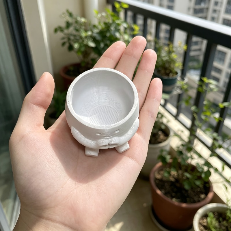 กระถางดอกไม้รูปหัวใจน่ารัก 1 ช - Echeveria Succulent บทวิจารณ์และราคา
