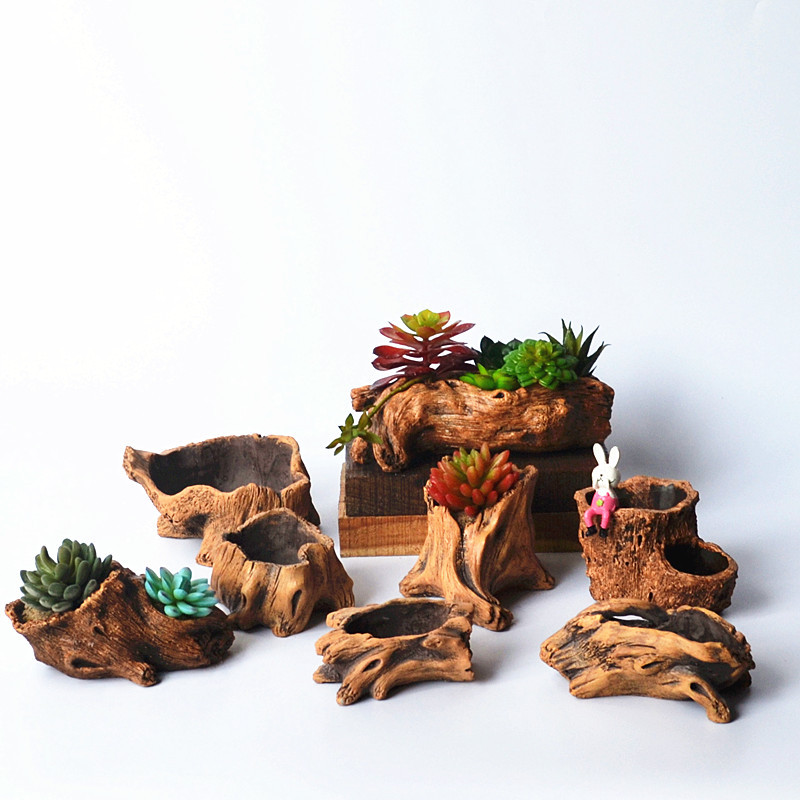 เลียนแบบไม้เดิมพันต้นไม้รากพืช - Echeveria Succulent บทวิจารณ์และราคา