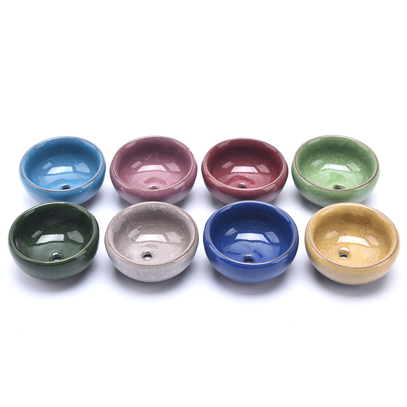 น่ารัก Ice-Crack Glaze ดอกไม้เ - Echeveria Succulent บทวิจารณ์และราคา