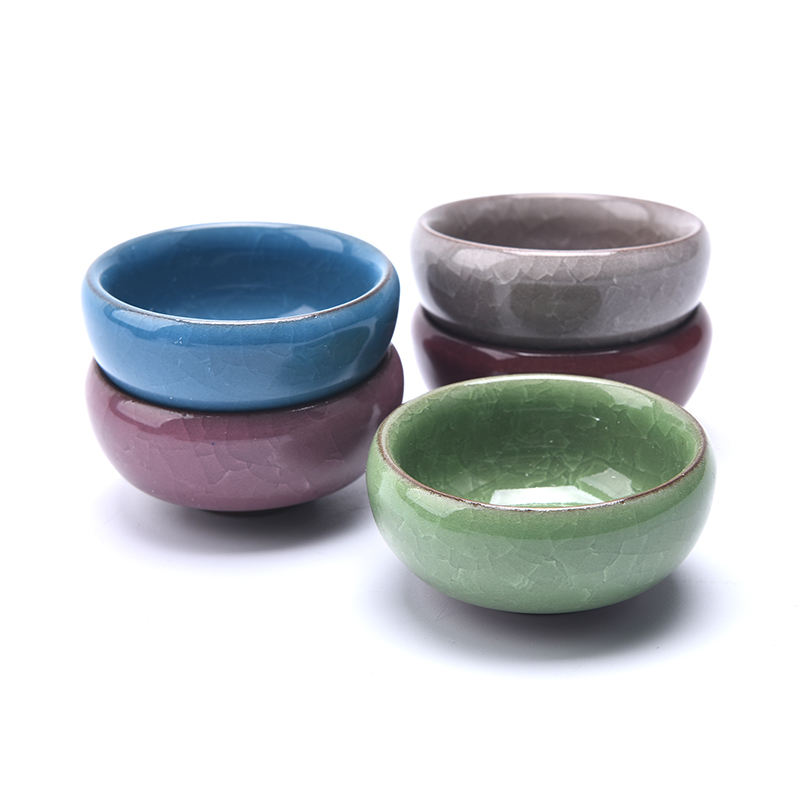 น่ารัก Ice-Crack Glaze ดอกไม้เ - Echeveria Succulent บทวิจารณ์และราคา