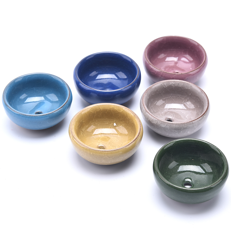 น่ารัก Ice-Crack Glaze ดอกไม้เ - Echeveria Succulent บทวิจารณ์และราคา